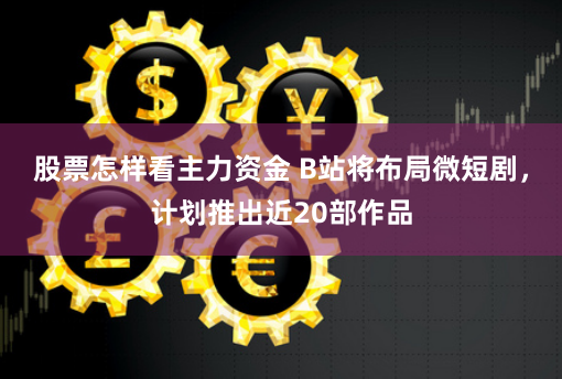 股票怎樣看主力資金 B站將布局微短劇，計劃推出近20部作品