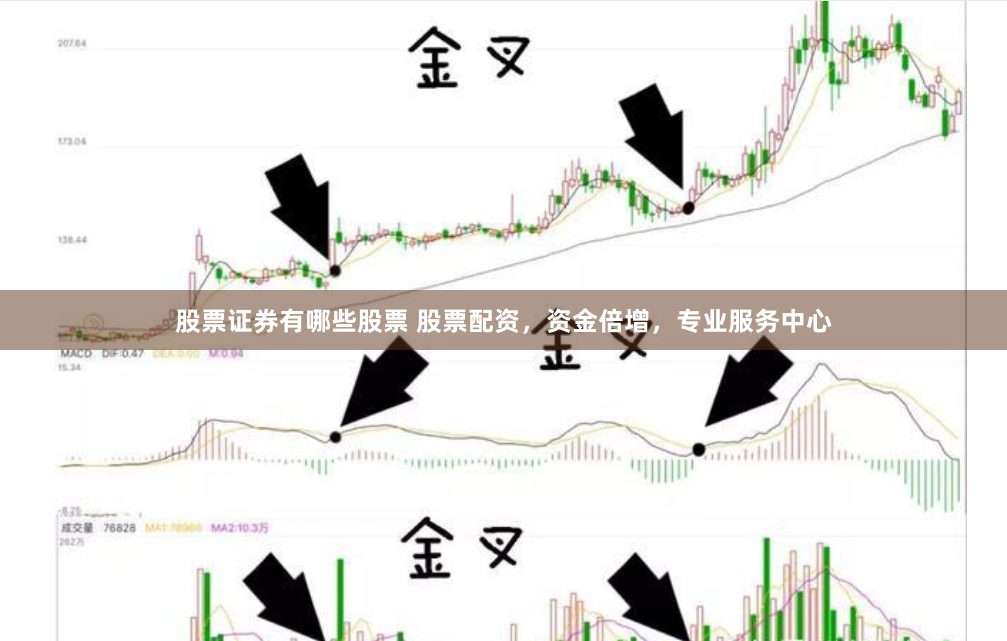 股票證券有哪些股票 股票配資，資金倍增，專業服務中心